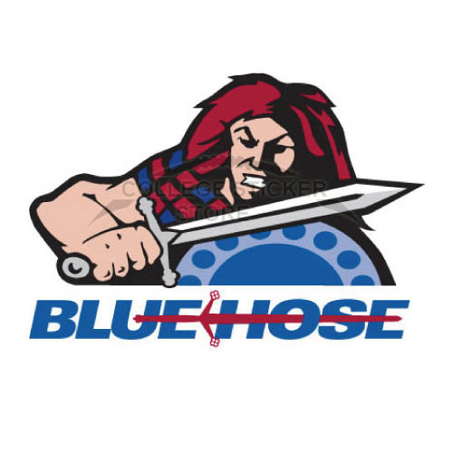 Homemade Presbyterian Blue Hose Iron-on Transfers (Wall Stickers)NO.5923